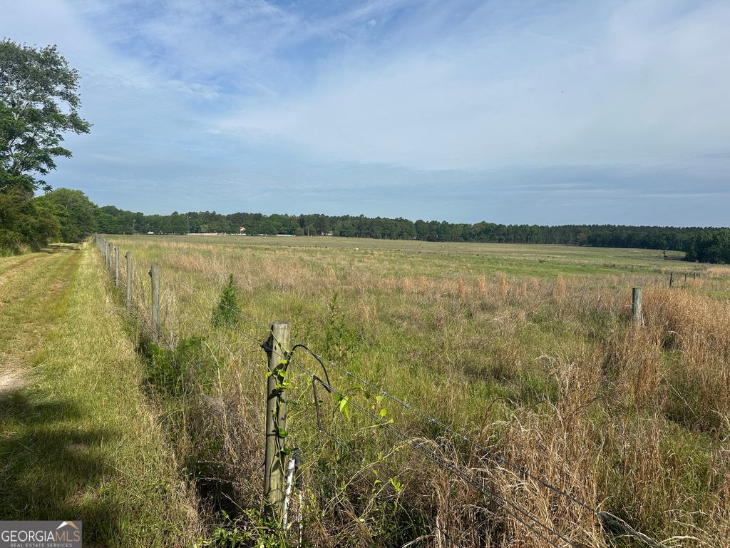 Photo of 1309 Jarrell Pond Road, Sylvania, GA 30467 (MLS # 10762476)