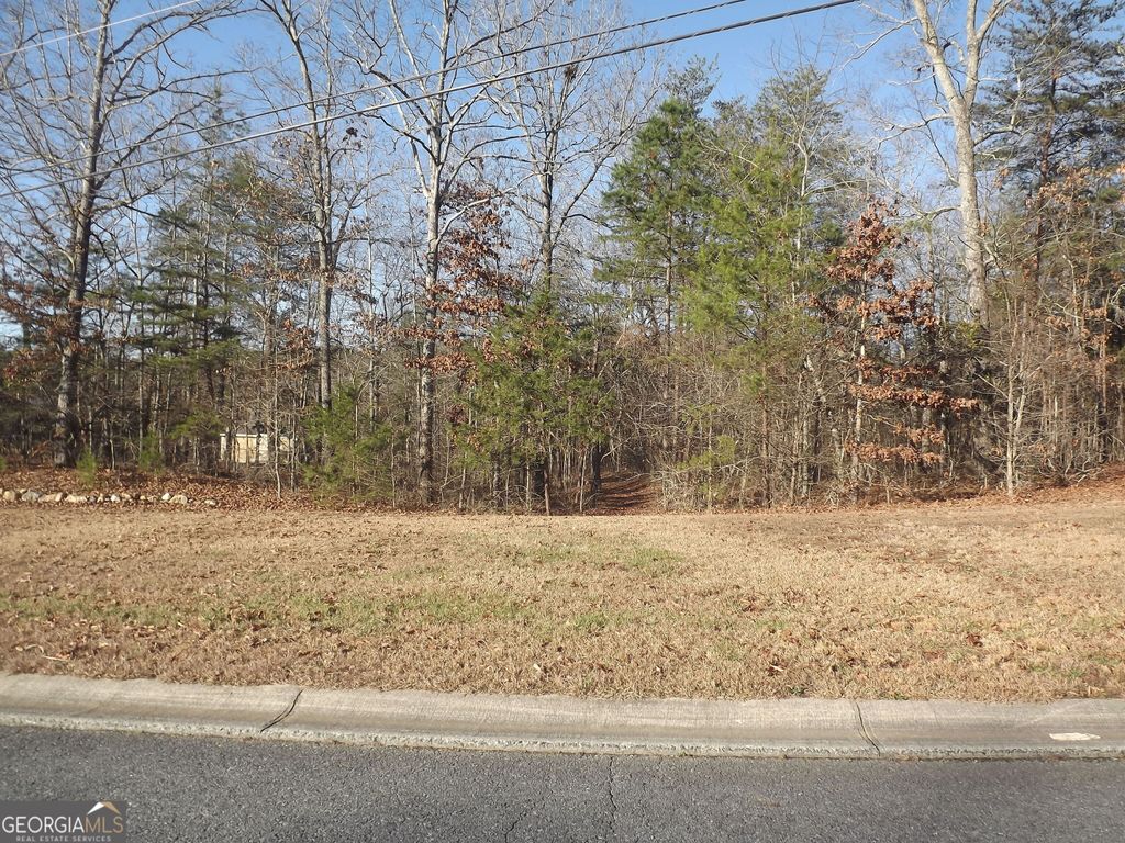 Photo of 6 Sunset Valley Street, Cedartown, GA 30125 (MLS # 10663754)