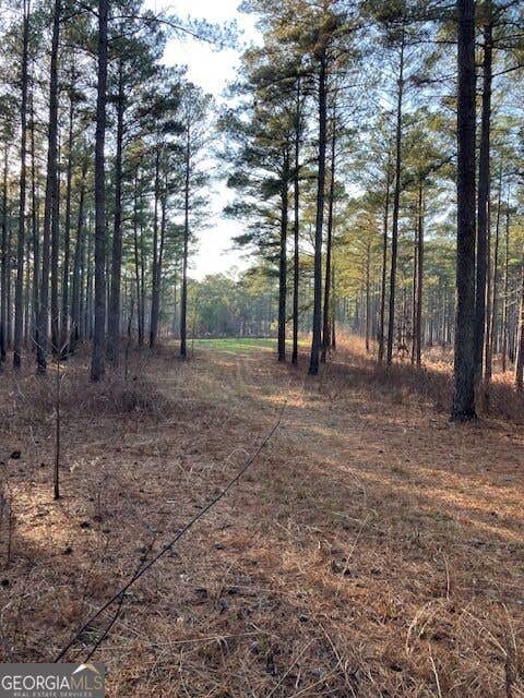 Photo of 352 Woodville Philomath Rd, Rayle, GA 30660 (MLS # 10825107)