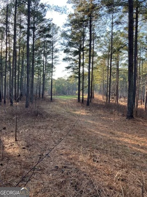 352 Woodville Philomath Road, Rayle, GA, 30660