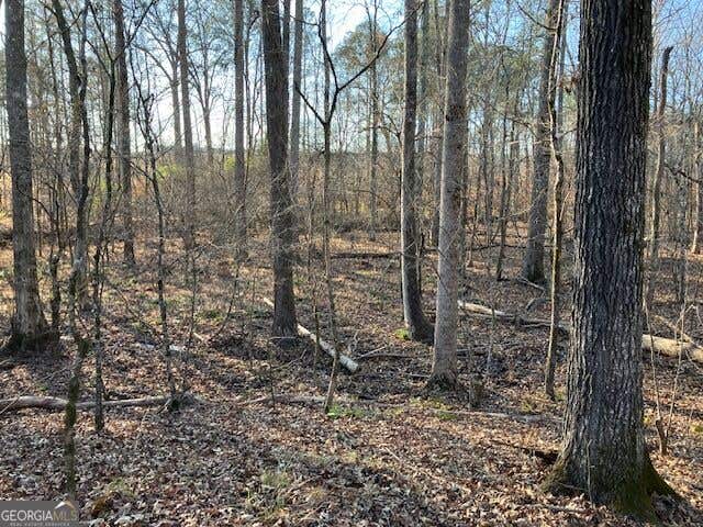 Photo of 352 Woodville Philomath Rd, Rayle, GA 30660 (MLS # 10825107)