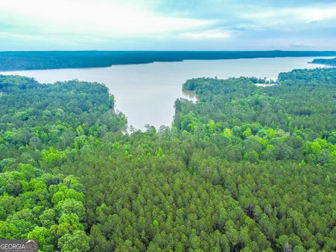 Photo of 1078 Chennault Drive, Tignall, GA 30668 (MLS # 10525886)