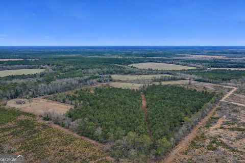 Photo of 4 Reddish Road, Odum, GA 31555 (MLS # 10686946)