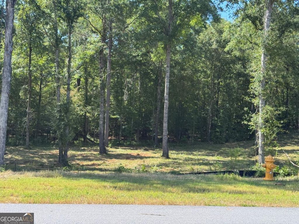 Photo of 100 Falls Lane, Milledgeville, GA 31061 (MLS # 10700474)