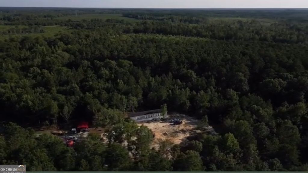 Photo of 1667 Richard Moore Road, Dublin, GA 31021 (MLS # 10738907)