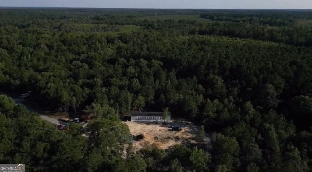 Photo of 1667 Richard Moore Road, Dublin, GA 31021 (MLS # 10738907)