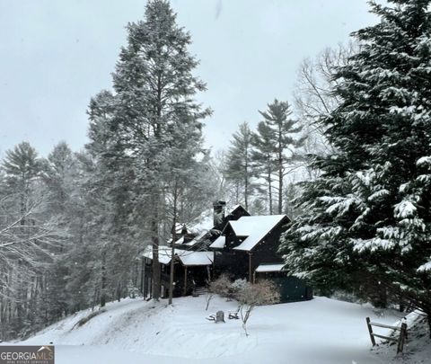 A home in Mineral Bluff