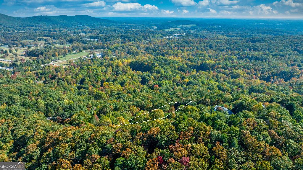 Photo of 333 Song Bird Drive, Cleveland, GA 30528 (MLS # 10753552)