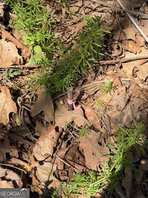 4485 Poplar Springs RD