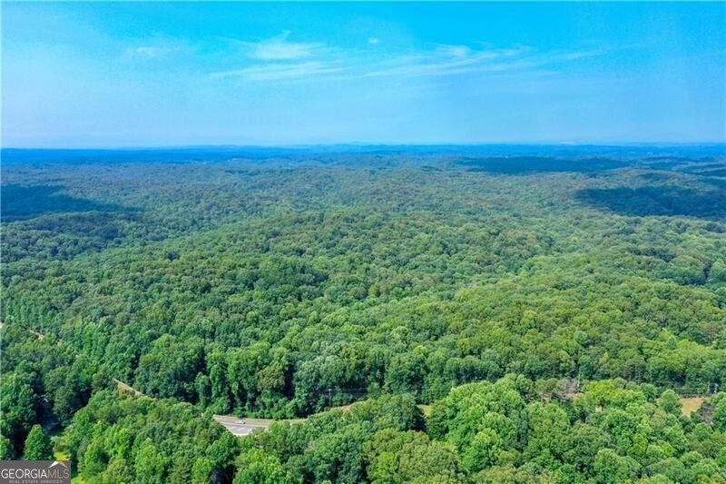 Dawsonville, Georgia 30534, United States, ,Land,Active,36806