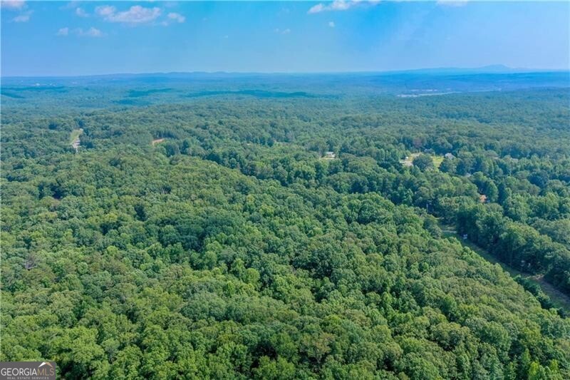 Dawsonville, Georgia 30534, United States, ,Land,Active,36806