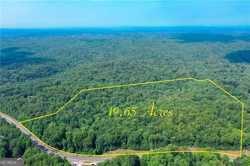 Dawsonville, Georgia 30534, United States, ,Land,Active,36806