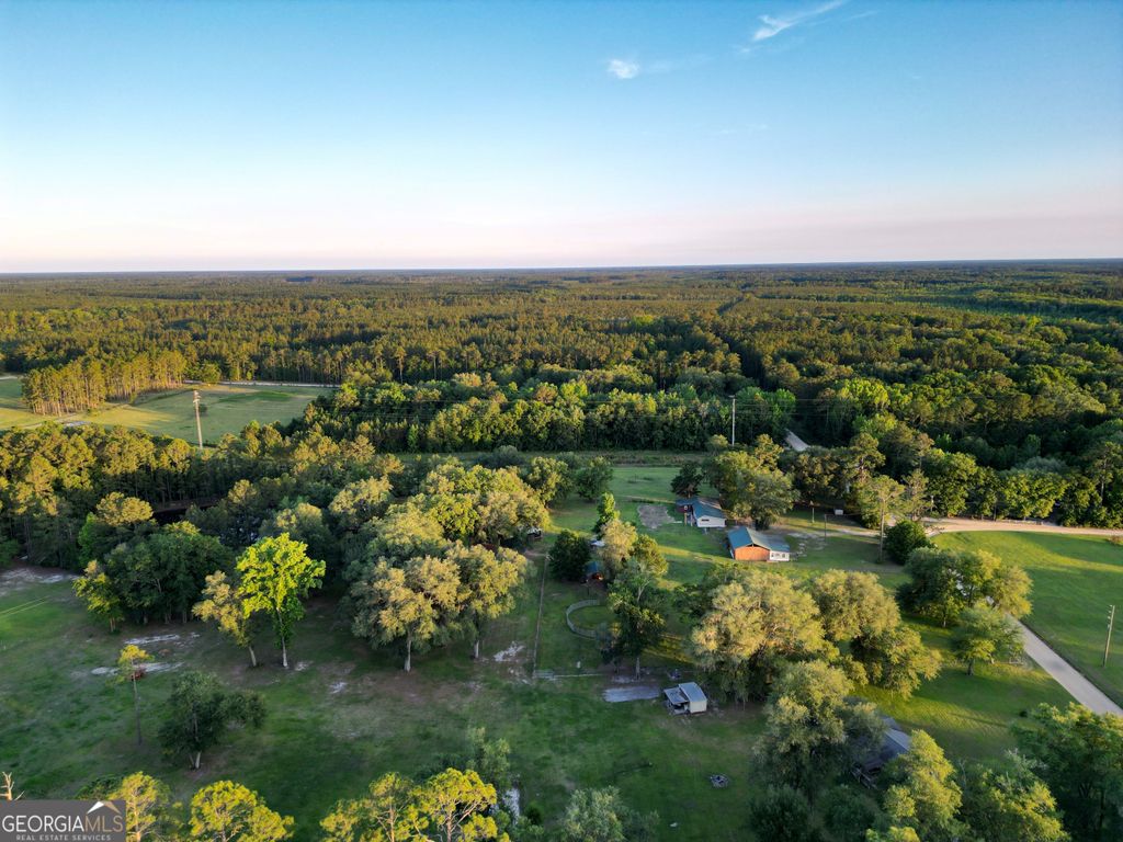 Photo of 3276 Stafford Dairy Road SE, Ludowici, GA 31316 (MLS # 10770522)