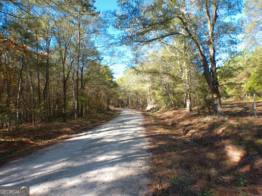 DUSTY RD, BOWMAN, GA 30624 - Image d45287bd8989cb2addde25e8ead2d2dc/3158364721