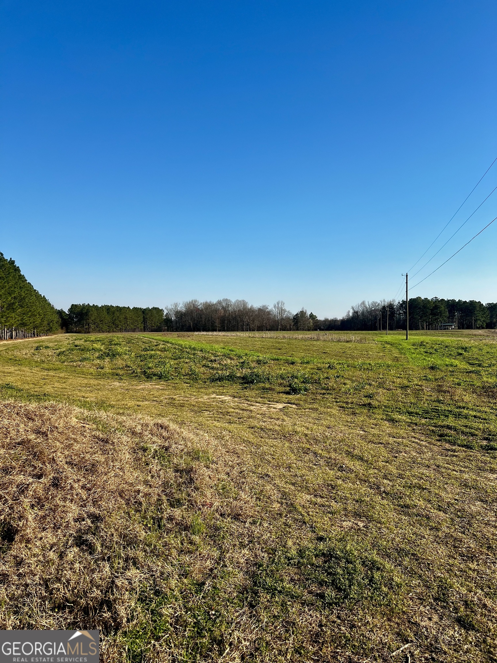 0 Mt. Olive RD