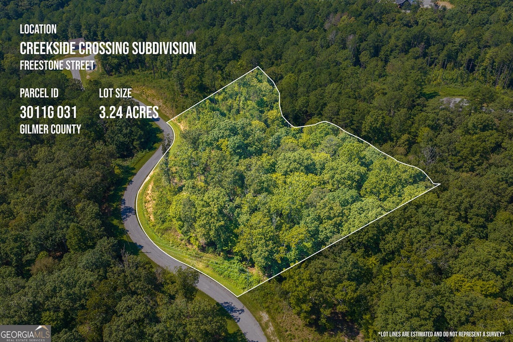 Photo of 31 Freestone Street, Talking Rock, GA 30175 (MLS # 10852289)