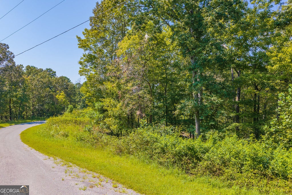 Photo of 31 Freestone Street, Talking Rock, GA 30175 (MLS # 10852289)
