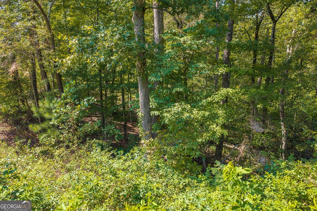 Photo of 31 Freestone Street, Talking Rock, GA 30175 (MLS # 10852289)