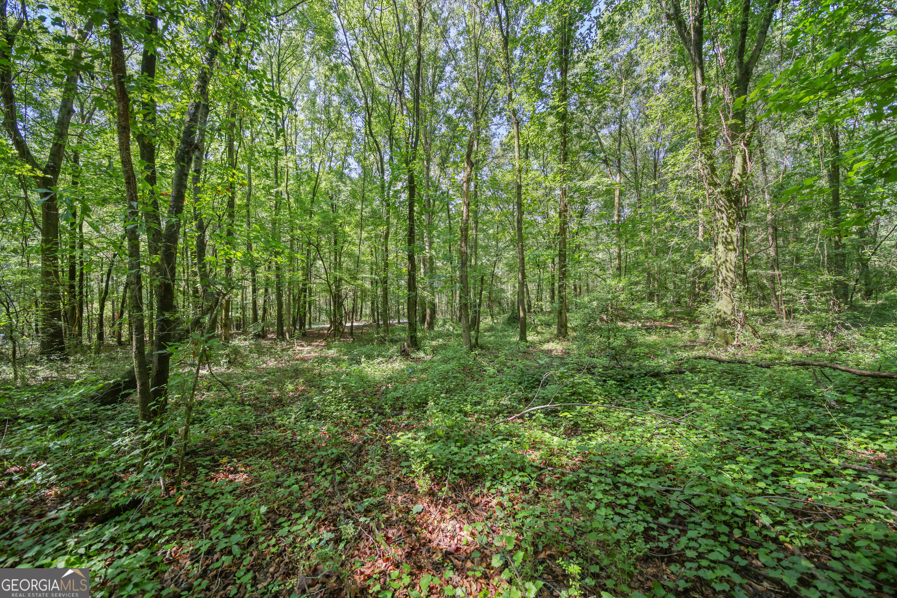 Lot 2 is now available for purchase at an exceptionally rare per-acre price in Banks County! Picture your future home on prime 8.52 acres of build-ready Banks county bliss! Tucked down a peaceful country lane yet just ten minutes from I-85, downtown Commerce, and the Tanger Outlets. Featuring mostly level terrain, this lot is build-ready with a satisfactory perc test and county water and power available at the road-so you can break ground the moment your plans are set. This property has fully usable acreage, with room for a workshop, garden, or even a small hobby farm. Want even more space? Additional adjoining tracts are also available. All the while you'll enjoy true rural tranquility in one of northeast Georgia's fastest-growing markets while being conveniently located less than 30 minutes away from Athens and Braselton. Seize this rare opportunity to build, invest, and settle into the lifestyle you've been dreaming of!