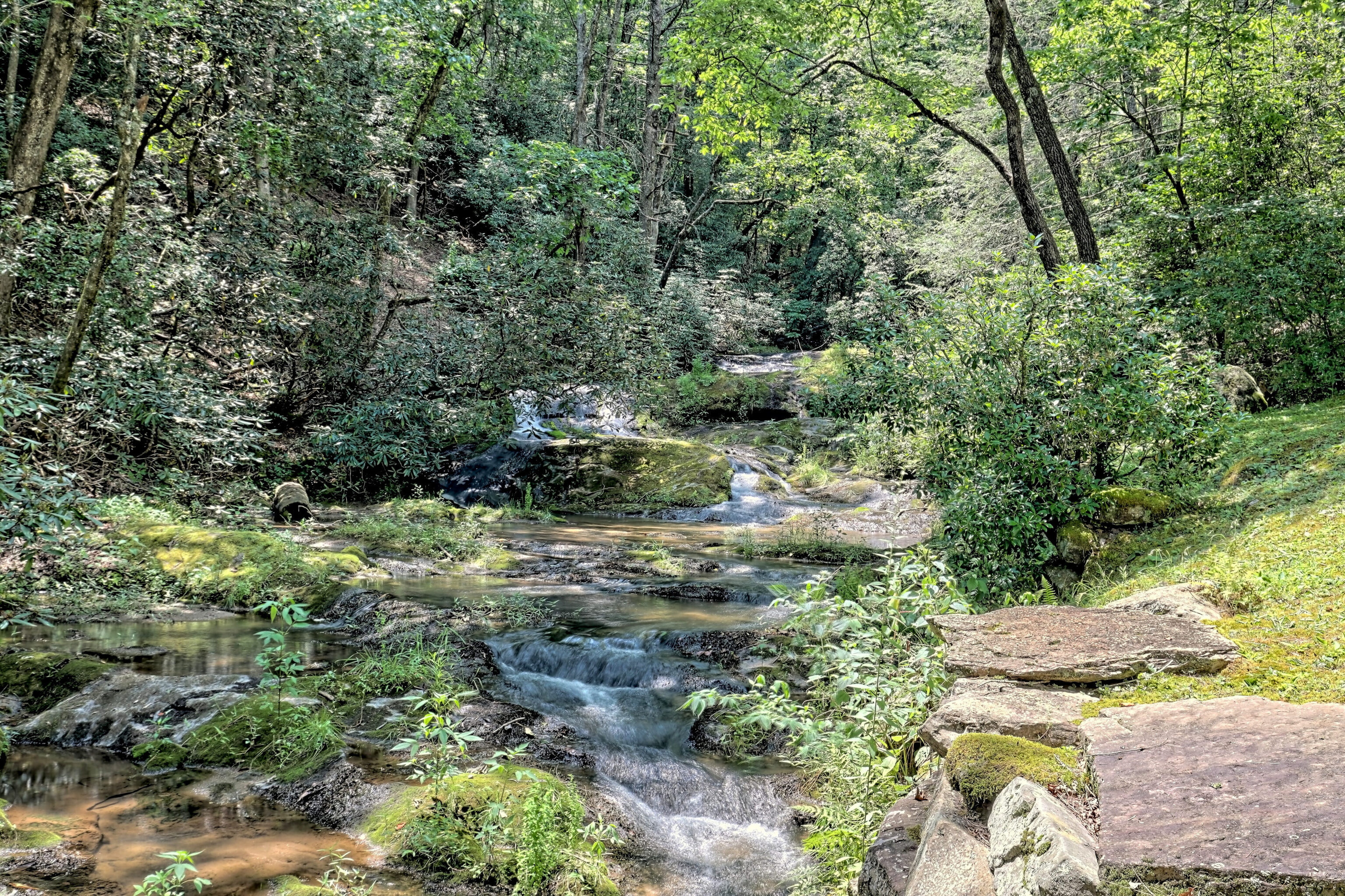 Clayton, Georgia 30525, United States, 8 Bedrooms Bedrooms, ,8 BathroomsBathrooms,Residential,Active,216322