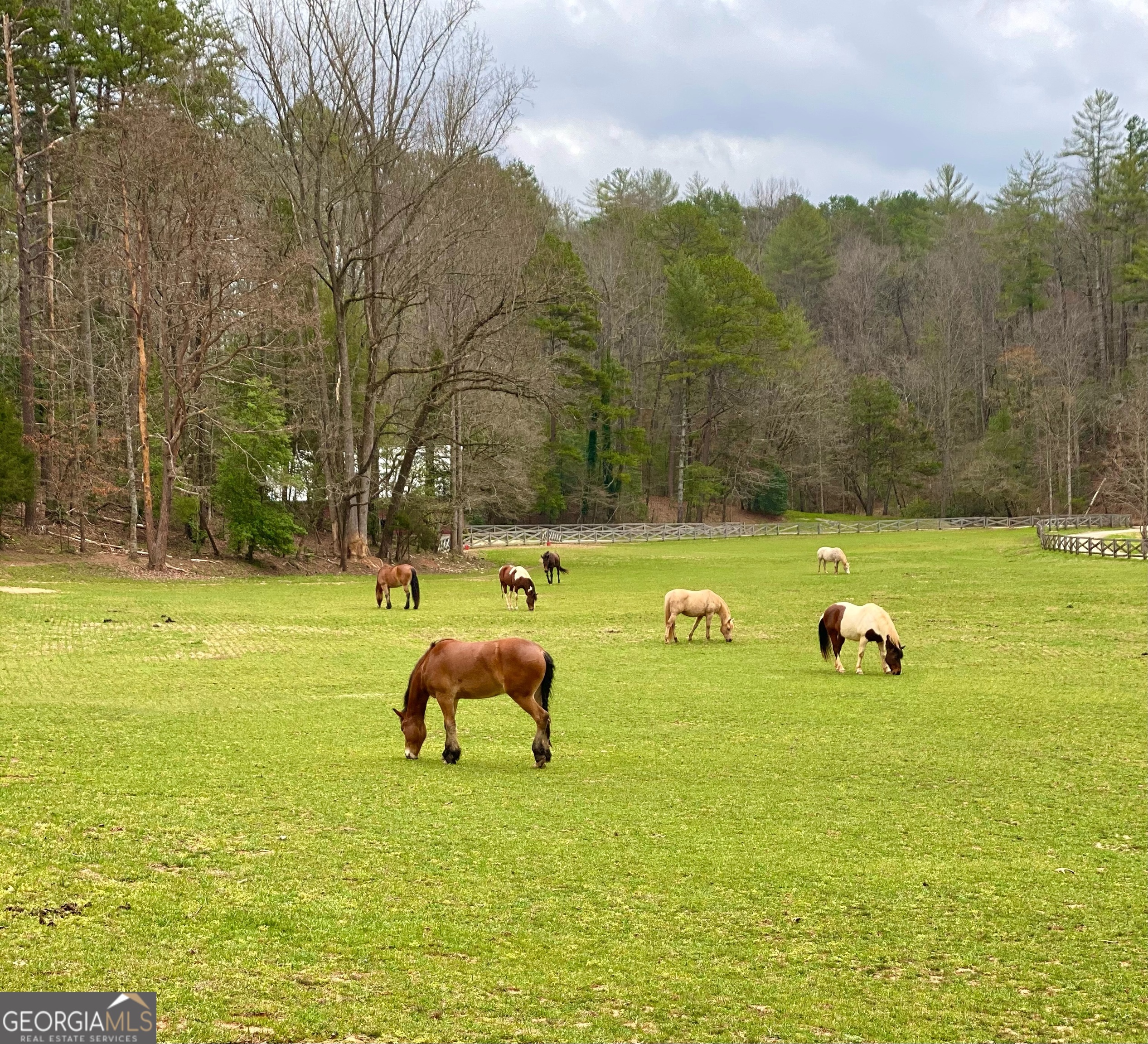 Clayton, Georgia 30525, United States, 8 Bedrooms Bedrooms, ,8 BathroomsBathrooms,Residential,Active,216322
