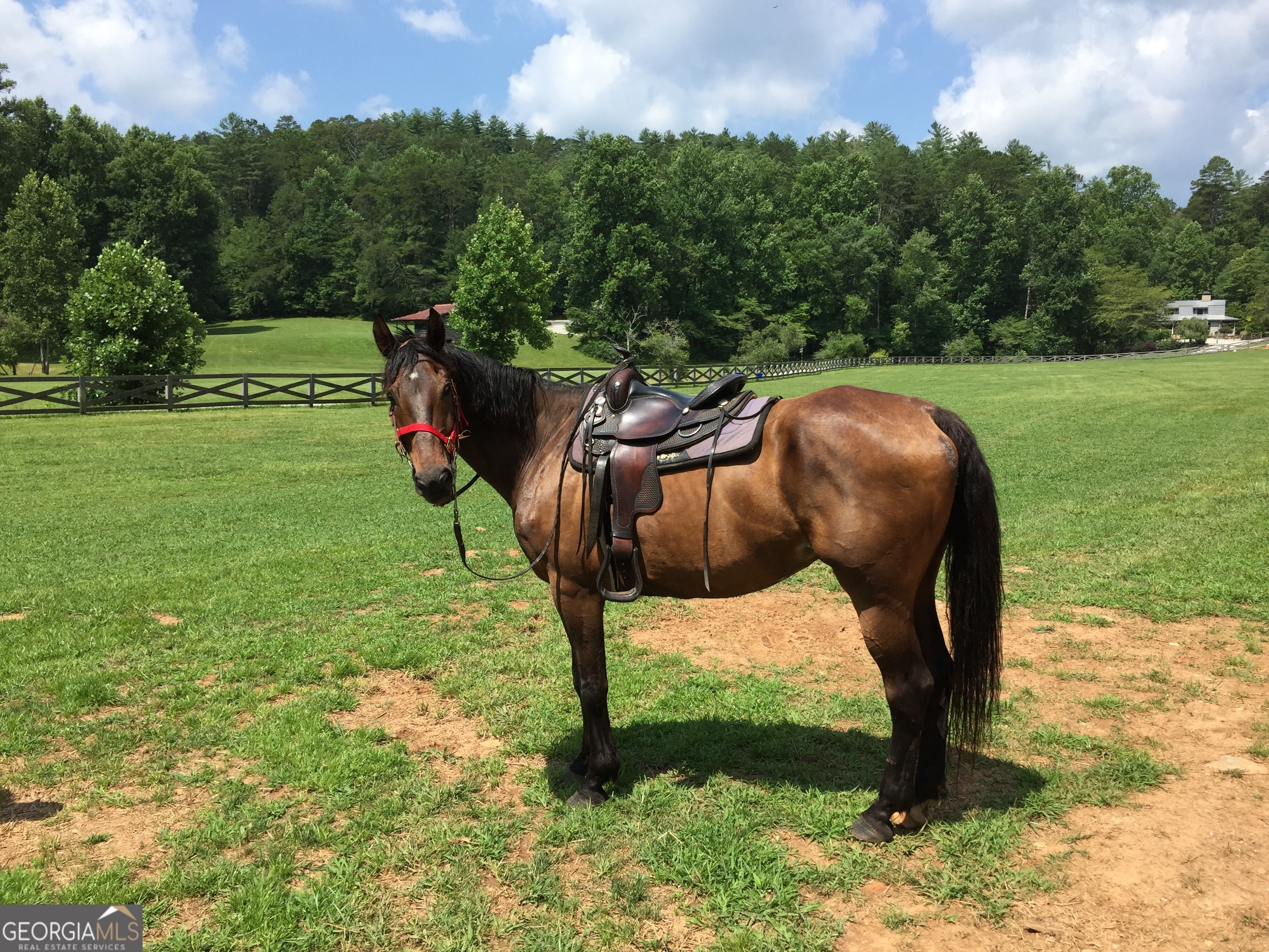Clayton, Georgia 30525, United States, 8 Bedrooms Bedrooms, ,8 BathroomsBathrooms,Residential,Active,216322