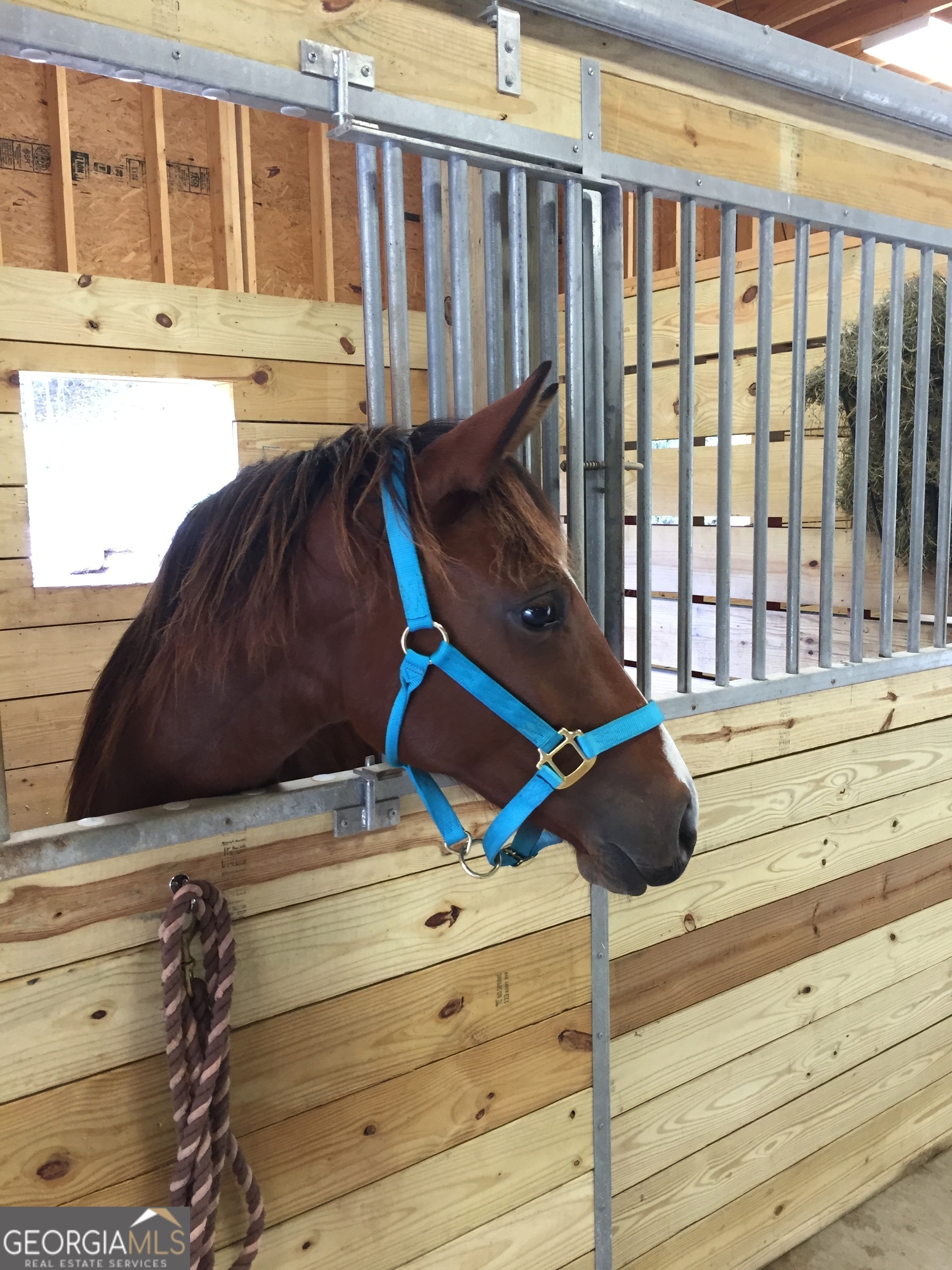 Clayton, Georgia 30525, United States, 8 Bedrooms Bedrooms, ,8 BathroomsBathrooms,Residential,Active,216322