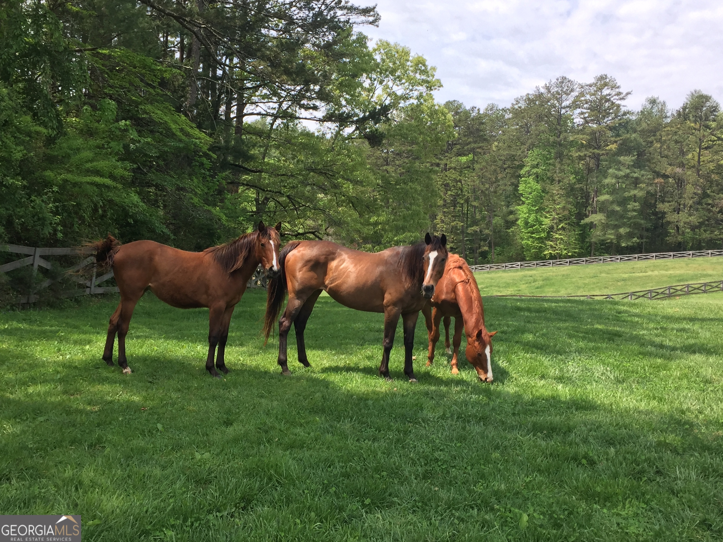 Clayton, Georgia 30525, United States, 8 Bedrooms Bedrooms, ,8 BathroomsBathrooms,Residential,Active,216322