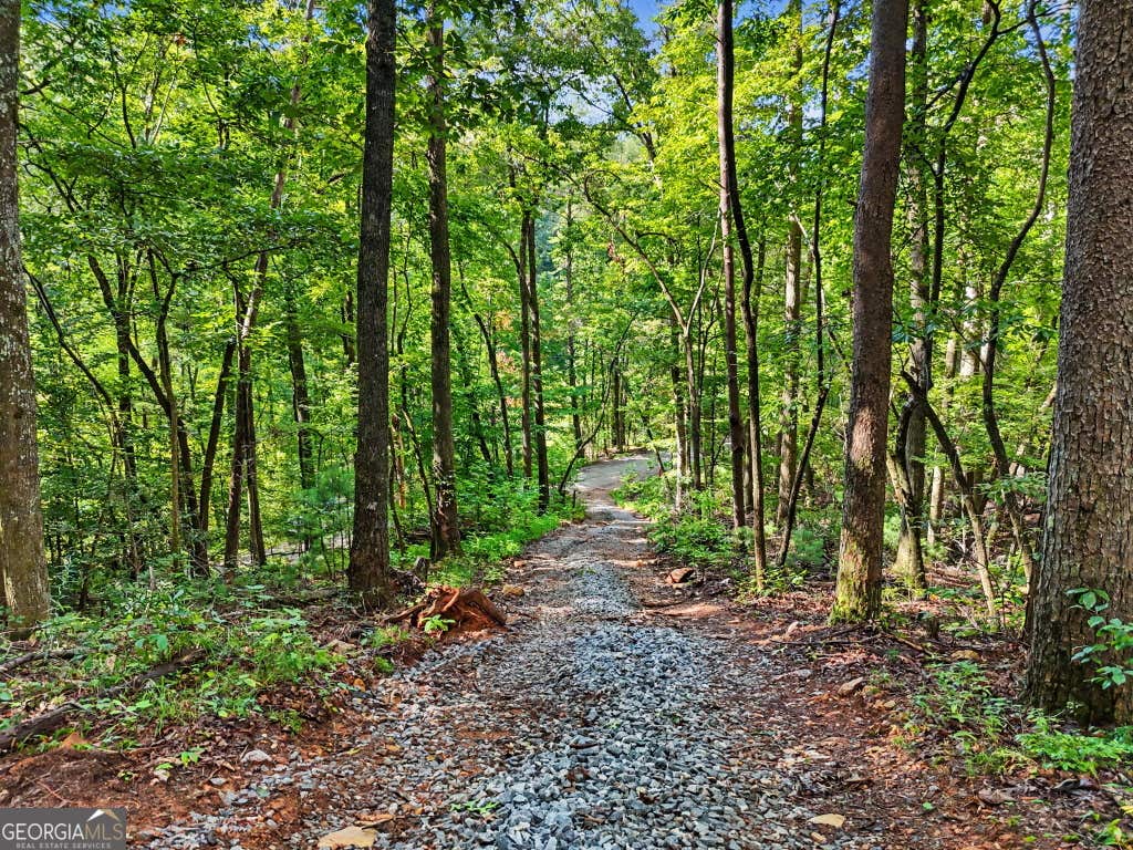 Photo of 417 Kelly Mountain Road, Clarkesville, GA 30523 (MLS # 10829753)