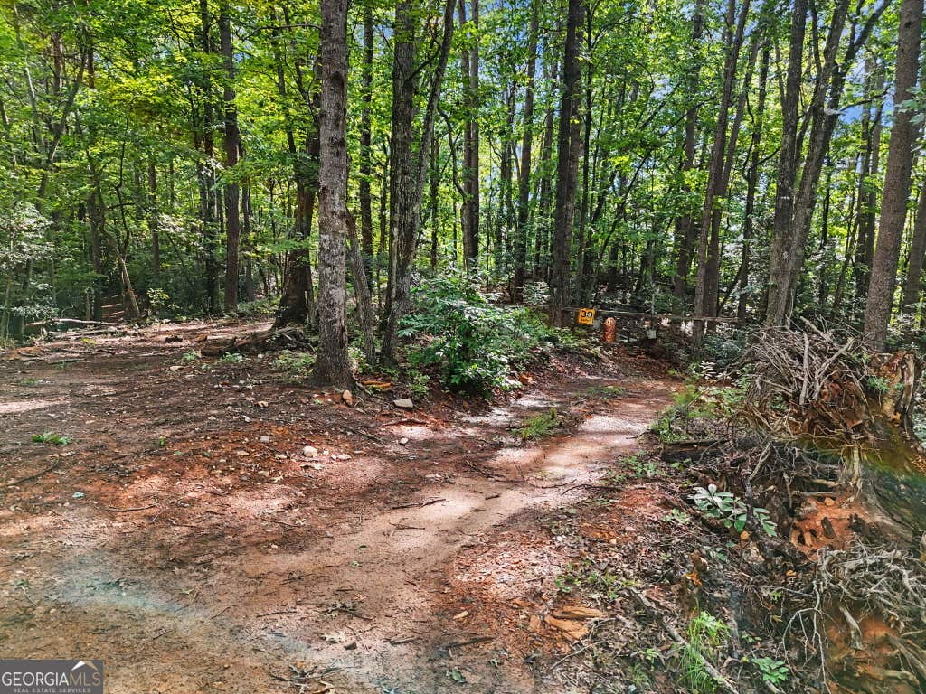 Photo of 417 Kelly Mountain Road, Clarkesville, GA 30523 (MLS # 10829753)