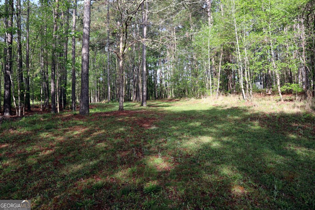 Photo of 278 Quesenberry Drive SE, Eatonton, GA 31024 (MLS # 10728562)