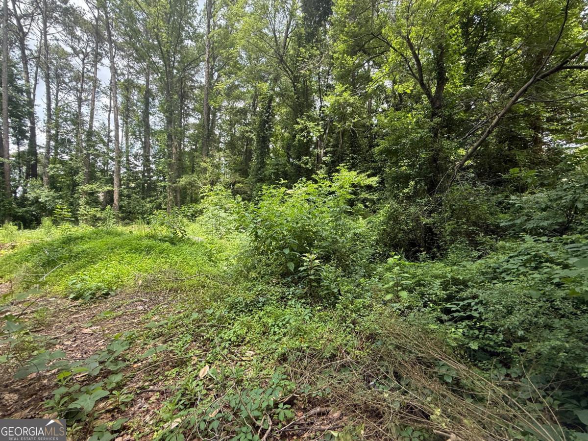 2592 Habersham DR