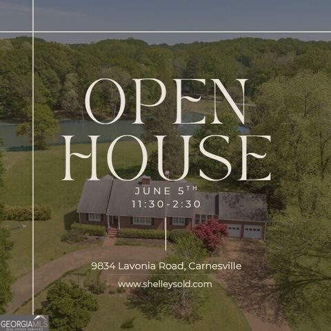 9834 Lavonia RD Carnesville GA 30521