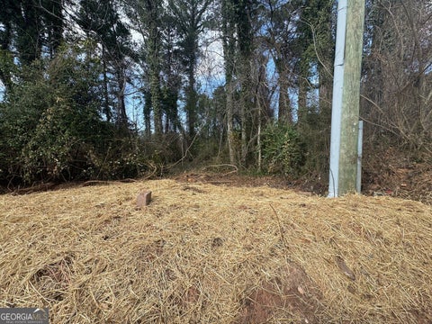 Photo for 282 Chestnut Hill RD SW