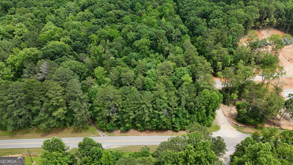 Photo of 0 Sautee Ridge Road #TRACT 1, Clarkesville, GA 30523 (MLS # 10763121)