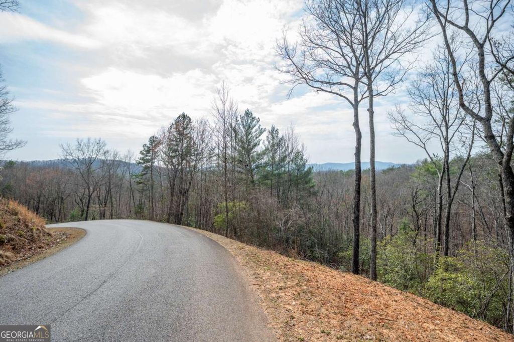 Photo of 8 Oceola Drive, Ellijay, GA 30540 (MLS # 10720025)