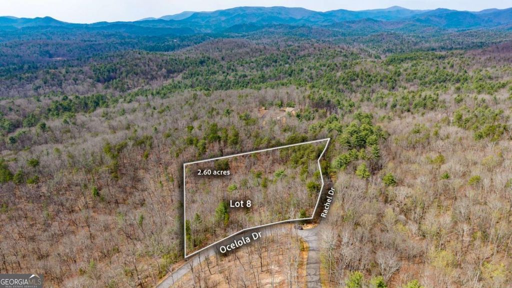 Photo of 8 Oceola Drive, Ellijay, GA 30540 (MLS # 10720025)
