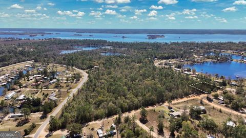 Photo of 91 Lake Carroll Drive, Donalsonville, GA 39845 (MLS # 10738113)