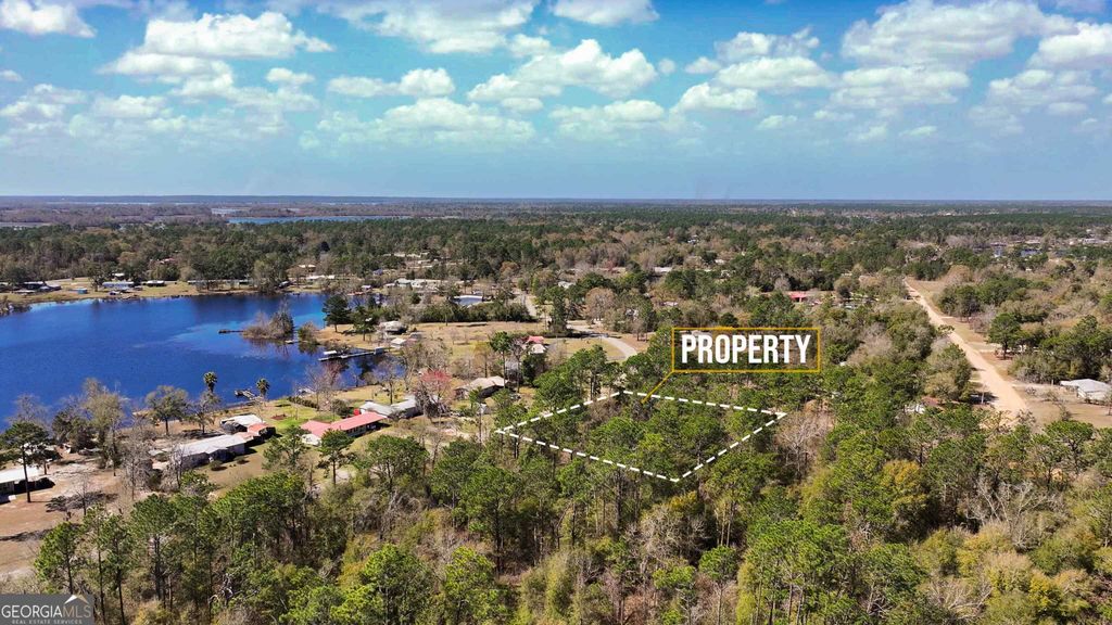 Photo of 91 Lake Carroll Drive, Donalsonville, GA 39845 (MLS # 10738113)