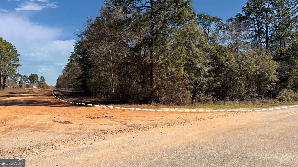 Photo of 91 Lake Carroll Drive, Donalsonville, GA 39845 (MLS # 10738113)