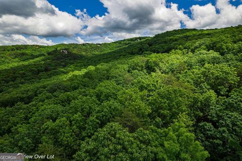 Photo of 301 Ridgeside Court, Jasper, GA 30143 (MLS # 10579869)