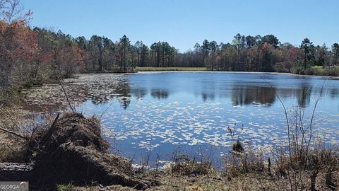 Photo of 0 Marvin Church Road, Lyons, GA 30436 (MLS # 10742205)