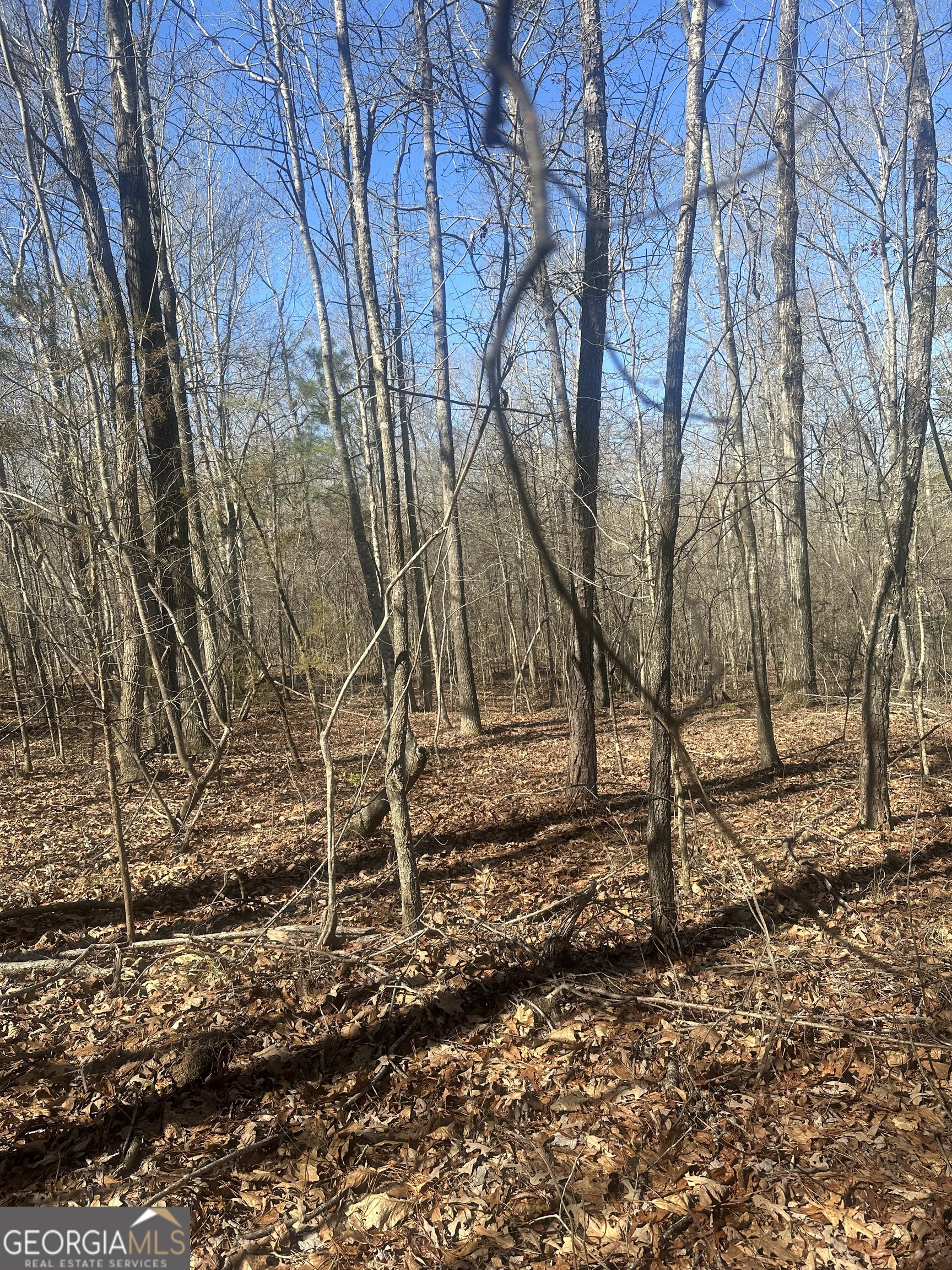 0 Summit View RD