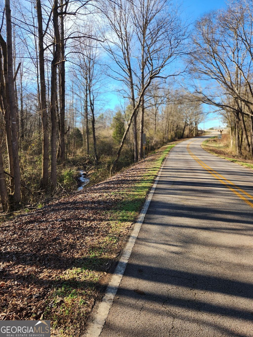 Photo of 0 Highway 106 Tract A, Eastanollee, GA 30538 (MLS # 10672316)