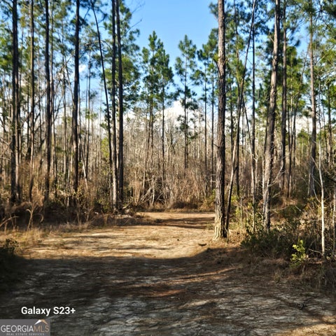Photo for 0 Mill Branch Club Rd Lot 1M RD