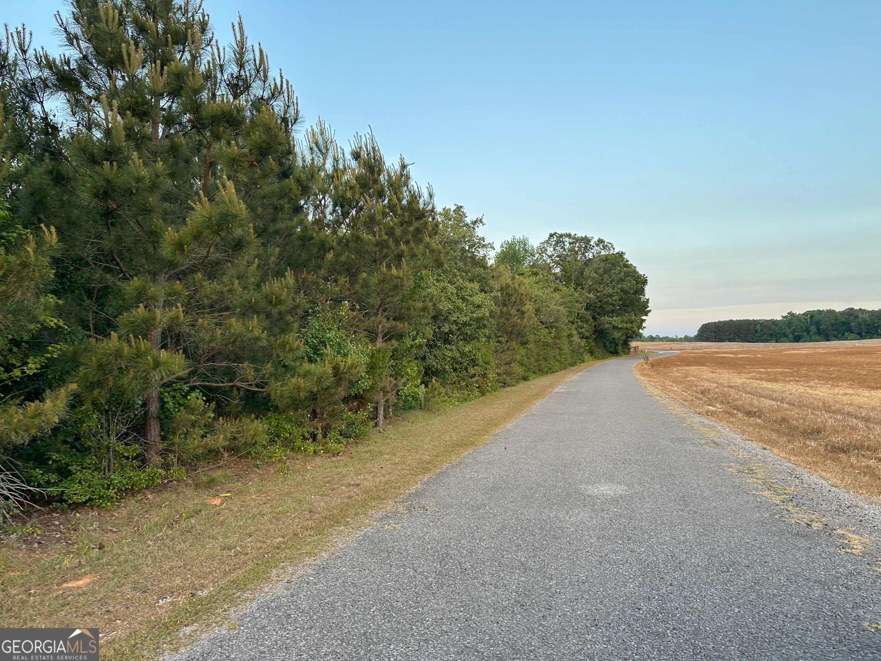 LOT 6 County Road 520