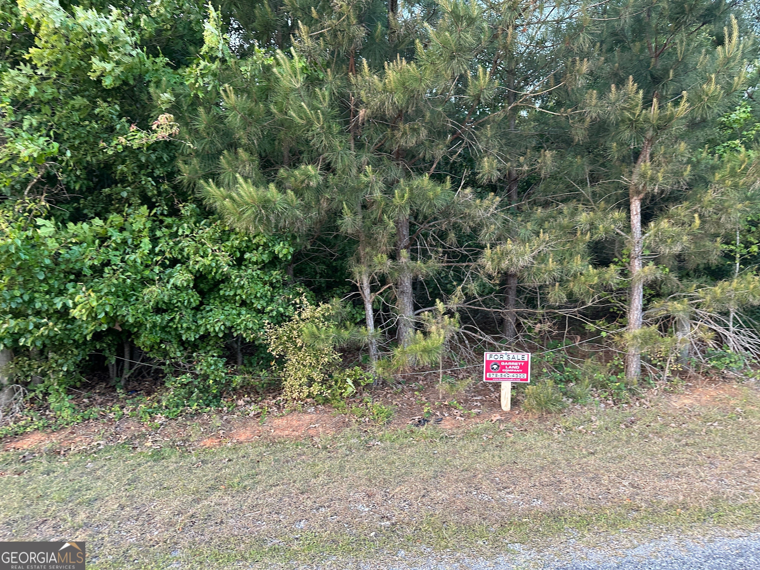 LOT 6 County Road 520