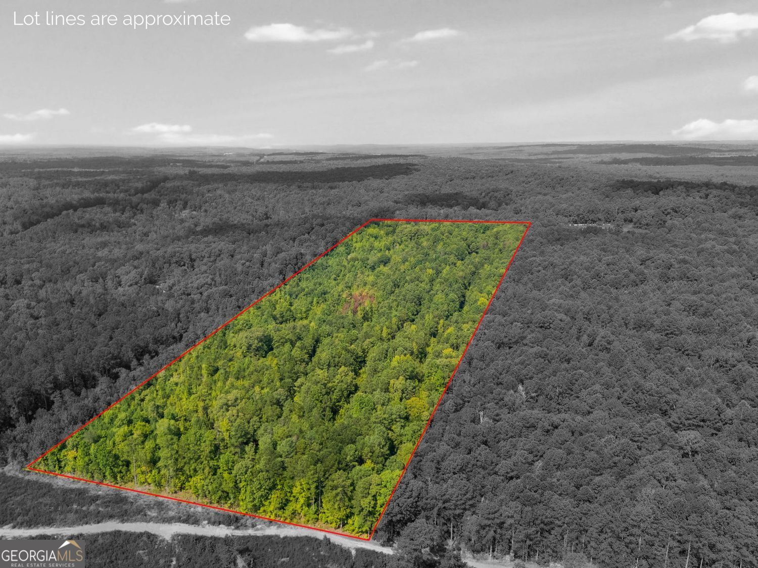 Enjoy 17.88 acres of mixed timber and planted pines ready for harvest. Build your dream home and bring all the animals and toys! There is a creek that runs thru the back part of the property.