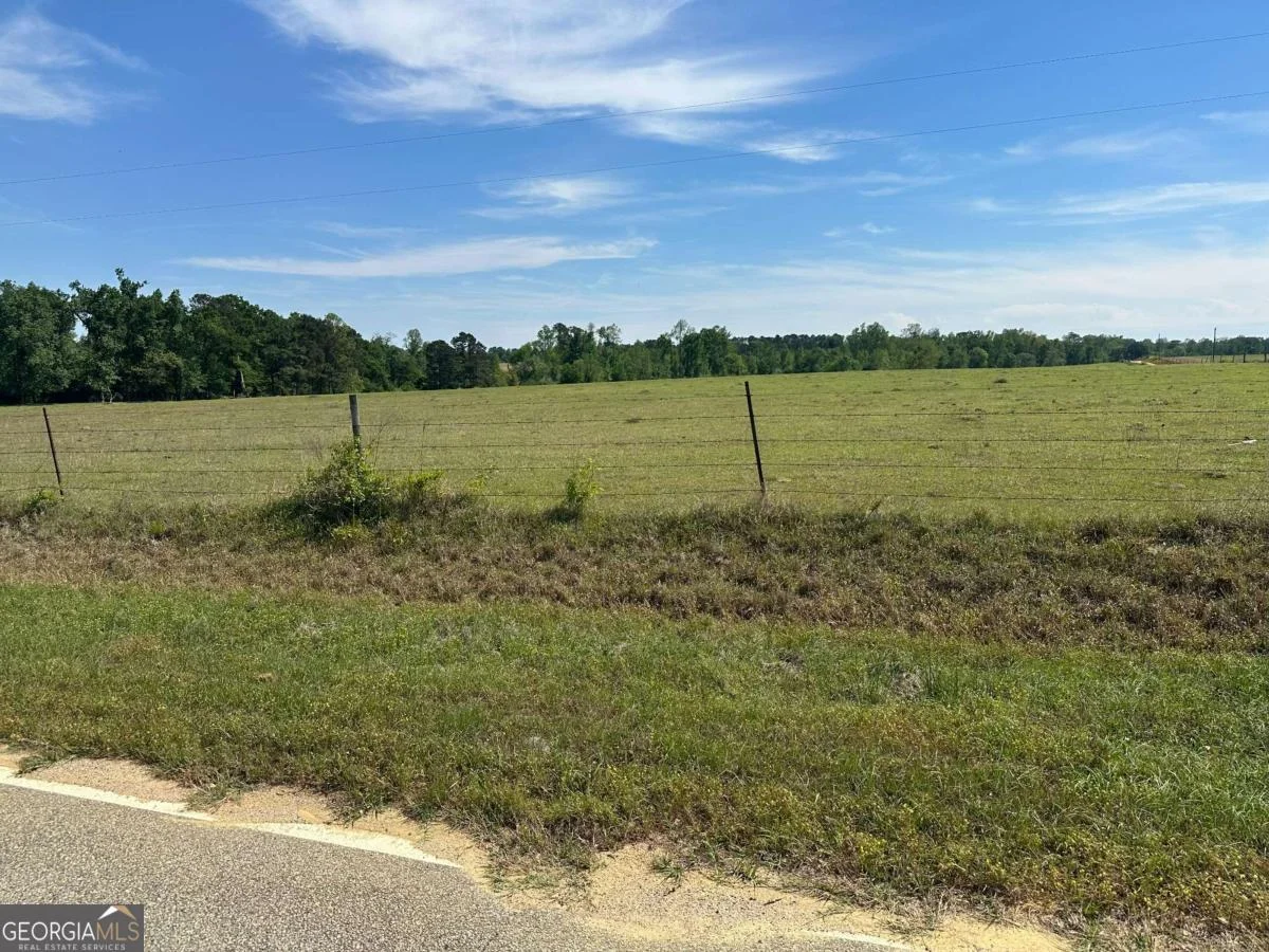 2905 Donald Cobb Road, Bartow, GA, 30413