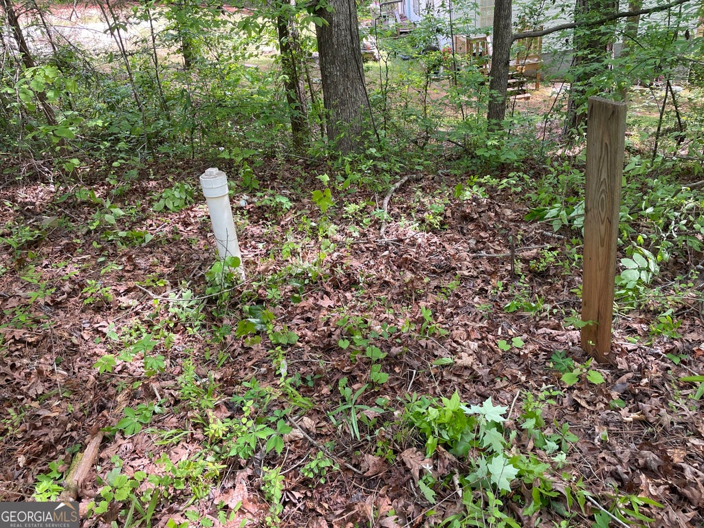 Photo of 225 White Birch Drive, Covington, GA 30016 (MLS # 10835513)